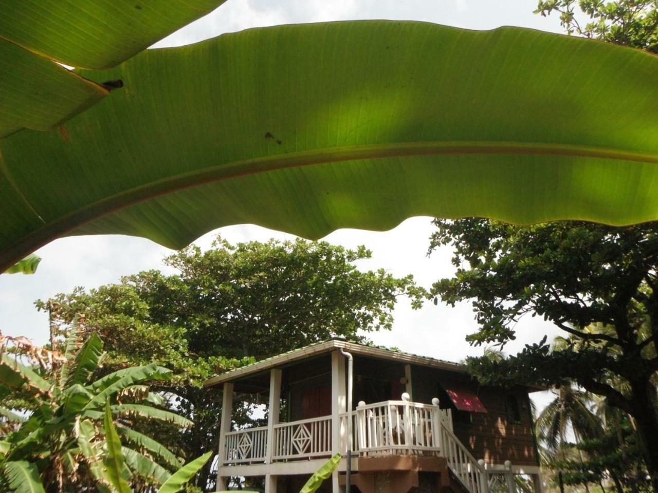 Treehouse Apartment At La Lodge At Long Bay South End Exteriör bild